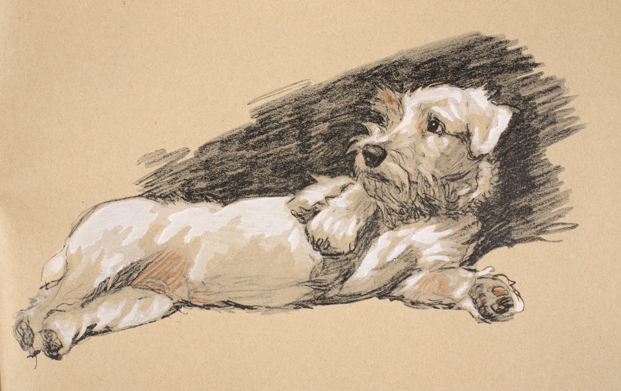 Terrier Detail, 1930, Illusztrációk a „Csak a barátok között” című vázlatfüzetéből, Aldin, Cecil Charles Windsor (1870-1935), később kiadó: Eyre and Spottiswoode Limited, 1934, Chalk and Char alkotó: Cecil Charles Windsor Aldin