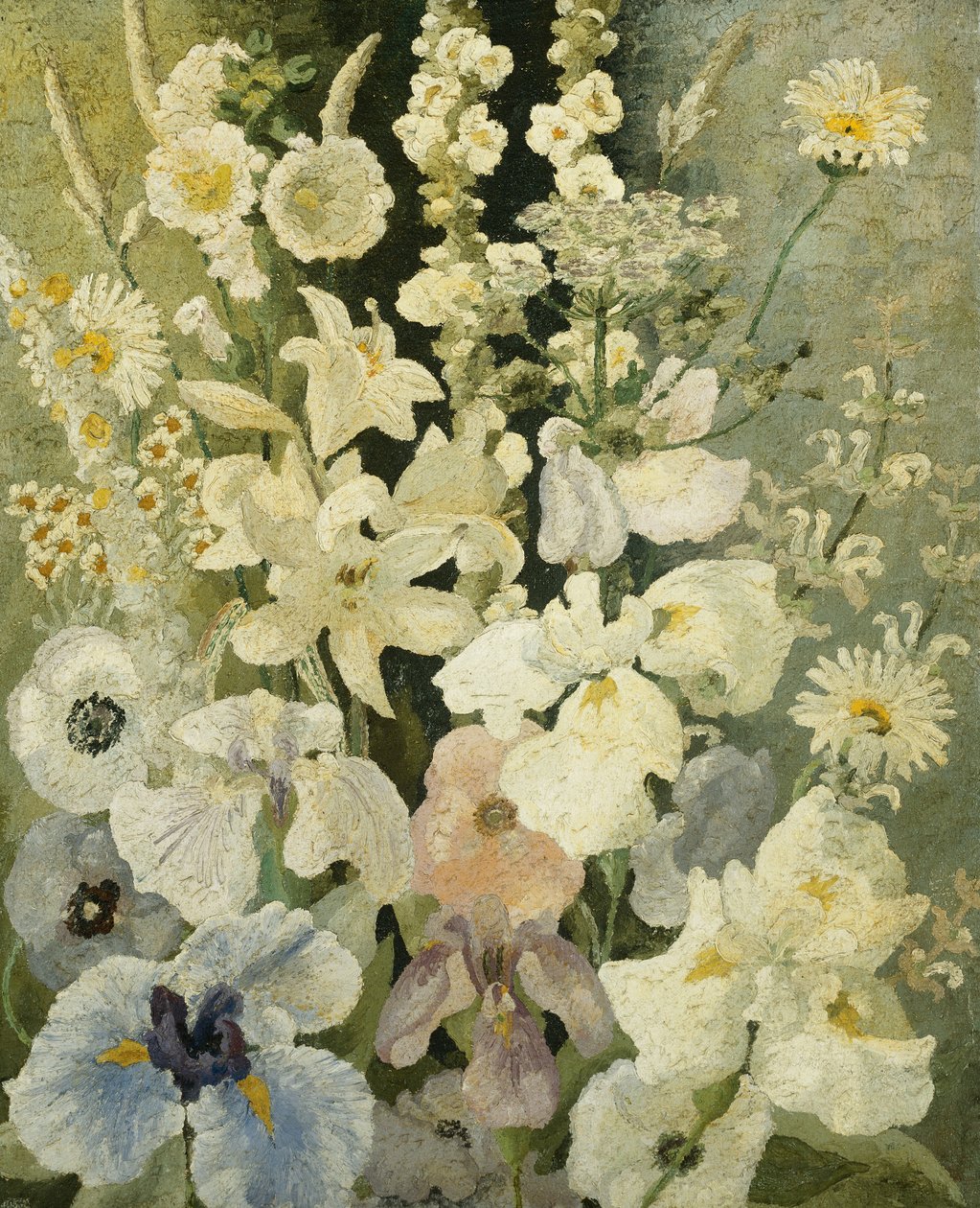 fehér virágok alkotó: Cedric Morris