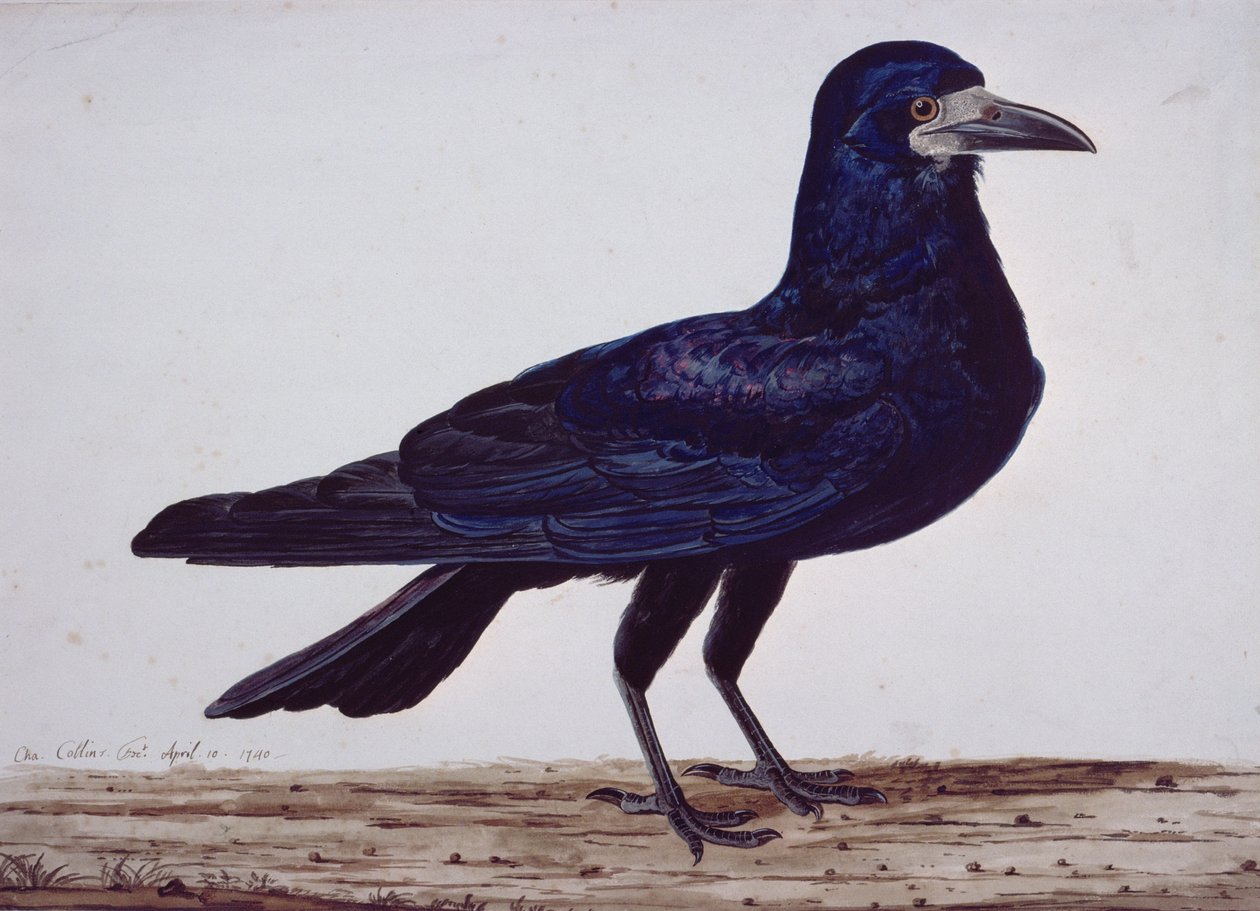 Egy bástya alkotó: Charles Collins