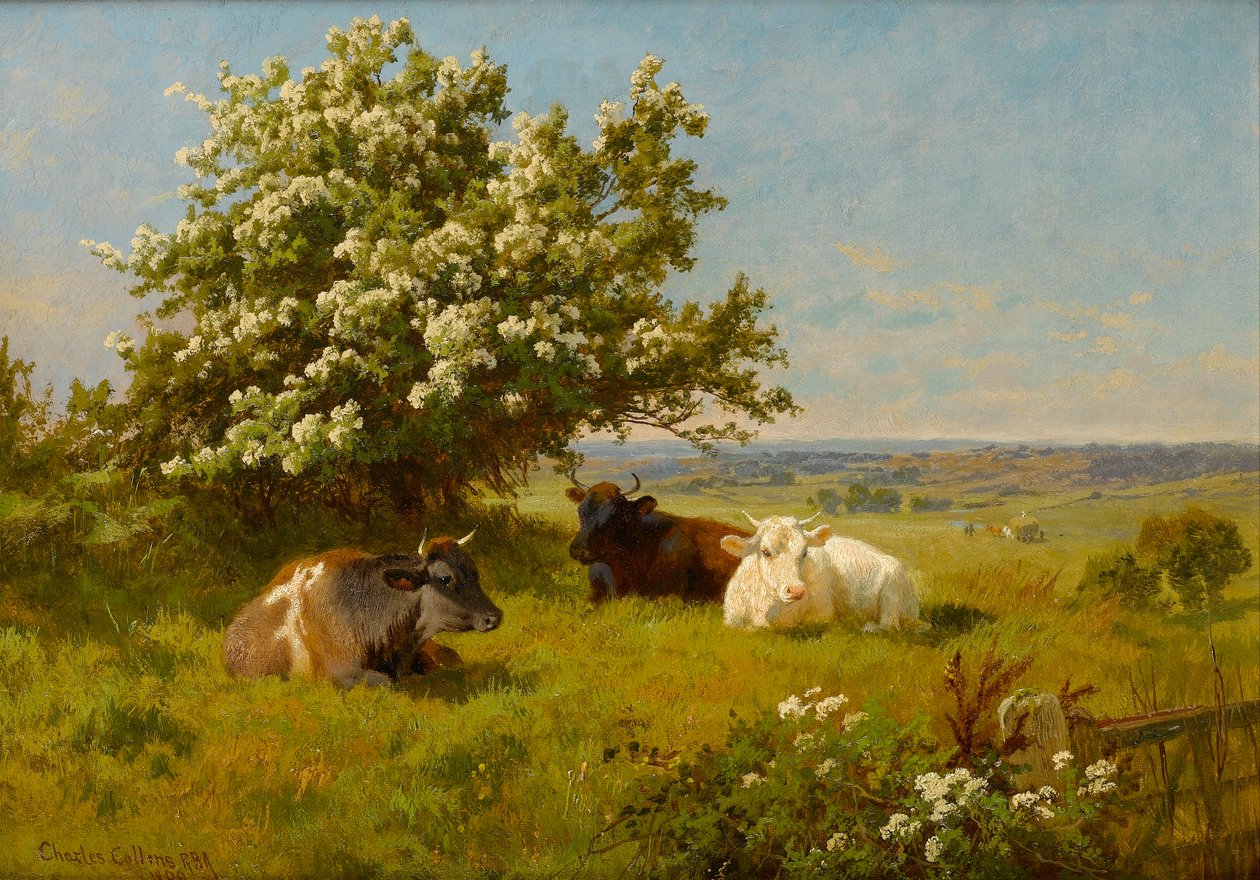 Tehenek a réten, 1899 alkotó: Charles Collins