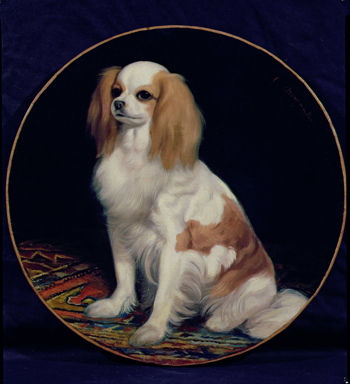 Károly király spániel alkotó: Charles Emile Callande de Champmartin