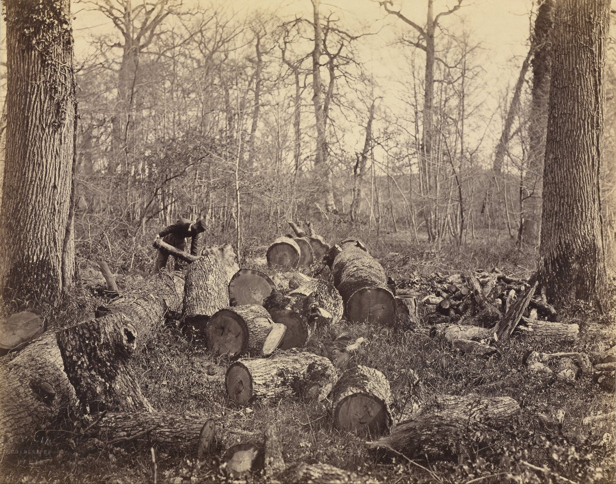 Fontainebleau erdő alkotó: Charles Famin