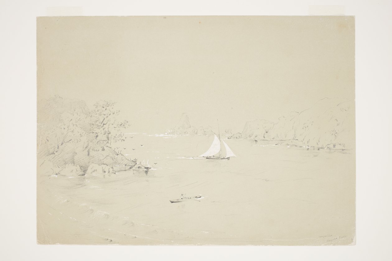 Wangaaihu Wangaroa-part alkotó: Charles Heaphy