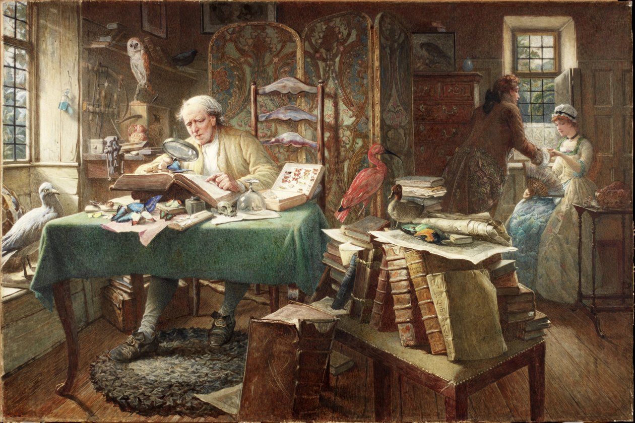 Grubs and Butterflies (akvarell, papír) alkotó: Charles J. Staniland