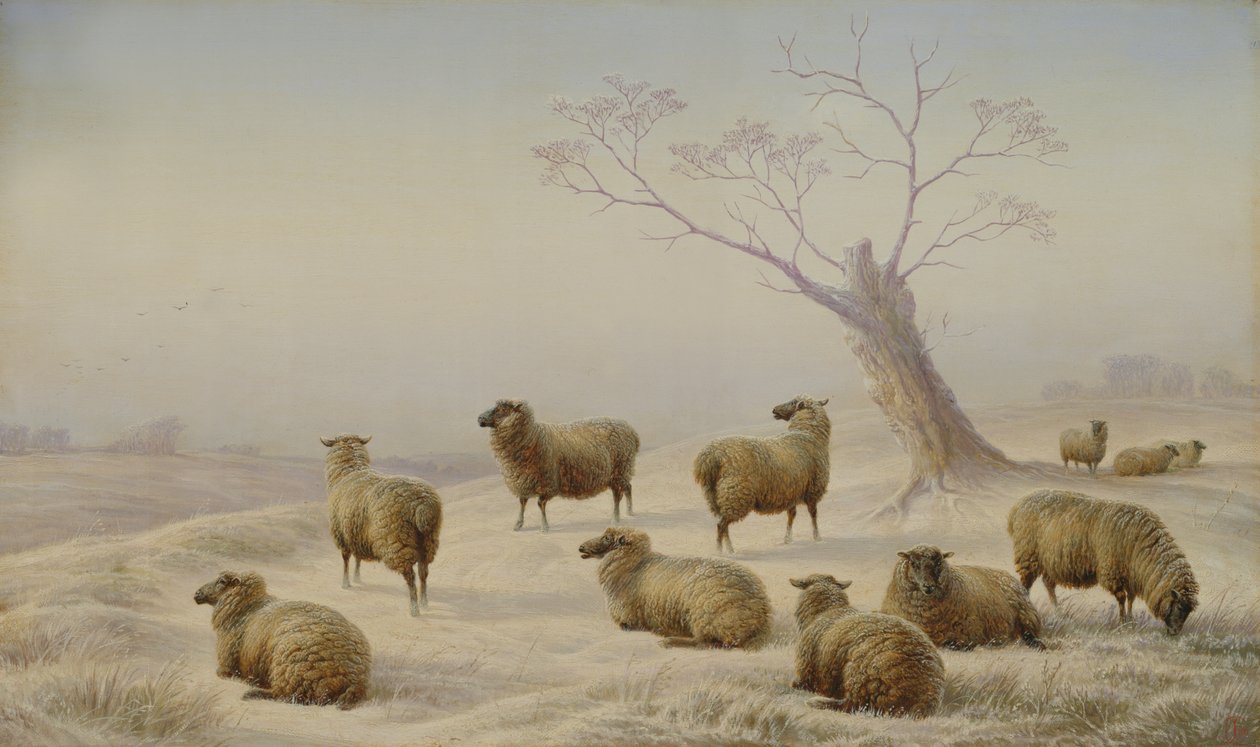 Birkák a hóban, 1880 alkotó: Charles Jones