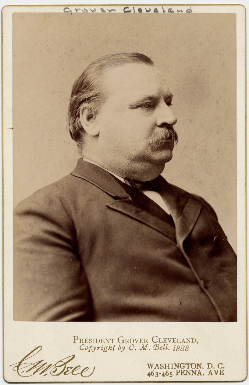 Stephen Grover Cleveland (1837-1908), az Amerikai Egyesült Államok 22. és 24. elnöke (albumfotó) alkotó: Charles Milton Bell