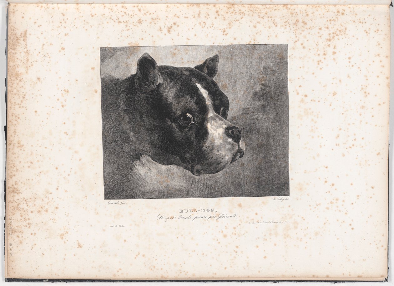 Buldog alkotó: Charles Aubry