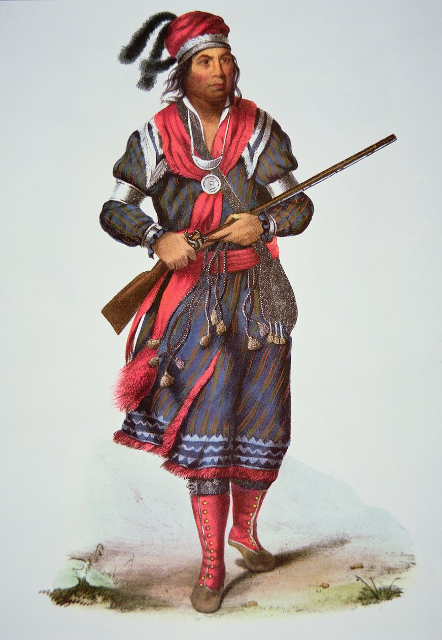 Tukosi Mathal főispán alkotó: Charles Bird King