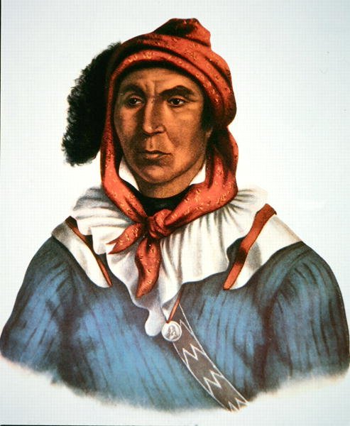 Julcee Mathla alkotó: Charles Bird King