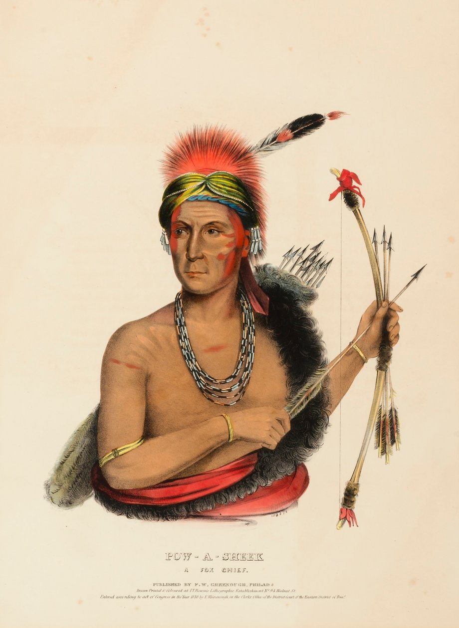 POW-A-SHEEK. A FOX CHIEF. alkotó: Charles Bird King