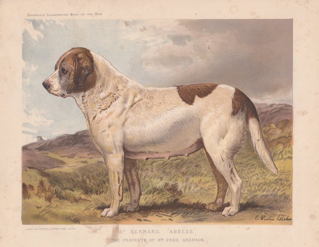 Szent Bernát "apátnő". alkotó: Charles Burton Barber