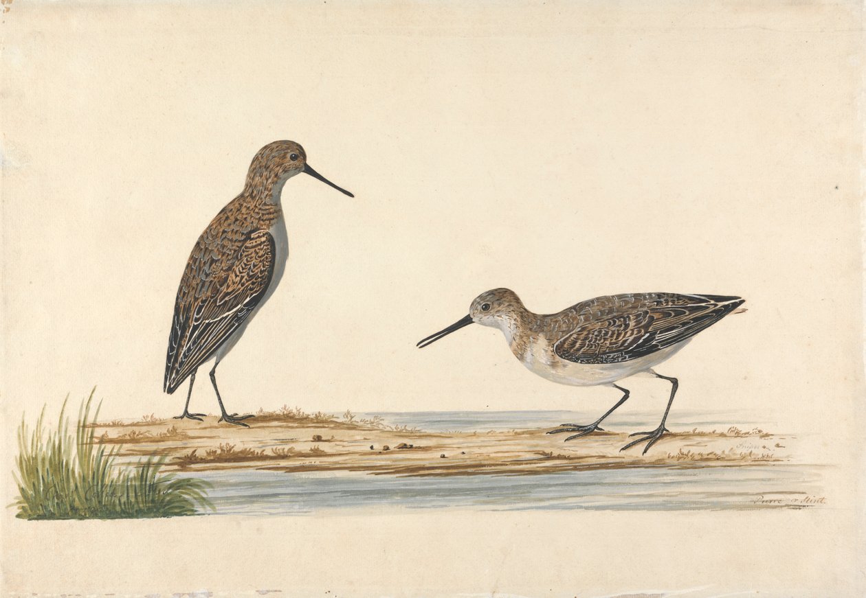 A Pair of Stints alkotó: Charles Collins