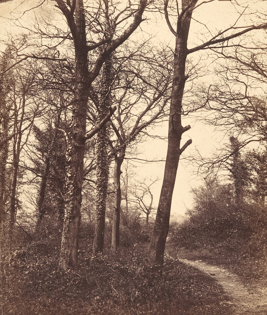 tél, 1855. alkotó: Charles Conway