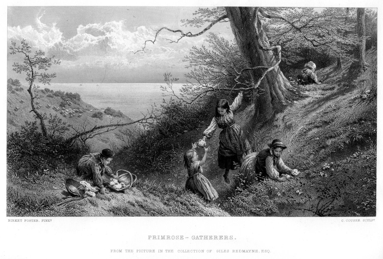 Primrose Gatherers, 1930-as évek. alkotó: Charles Cousen