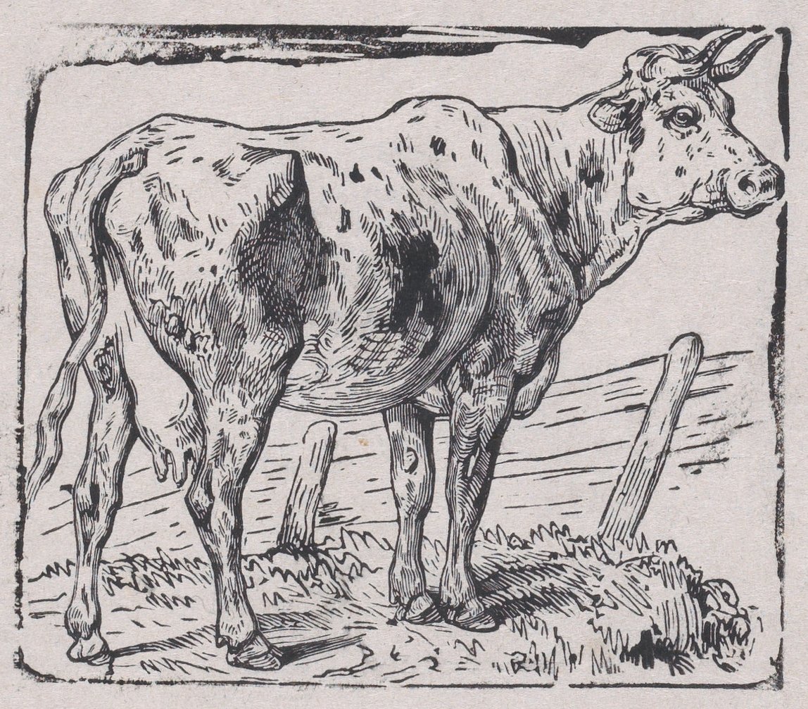 Egy tehén, kb. 1853. alkotó: Charles Emile Jacque