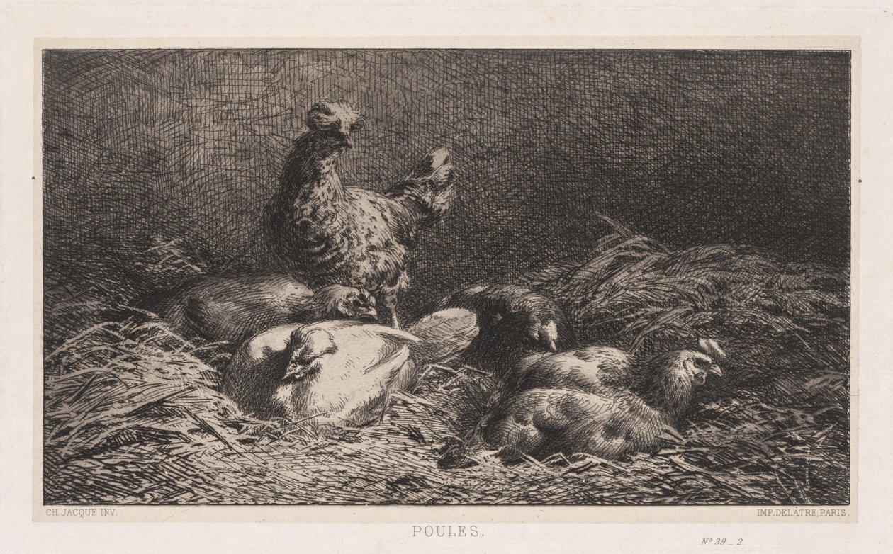 Csirkék, 1867. alkotó: Charles Emile Jacque