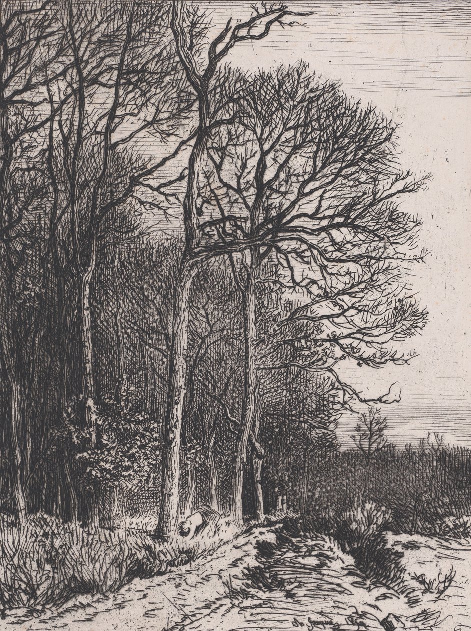 Az erdő széle, 1846. alkotó: Charles Emile Jacque