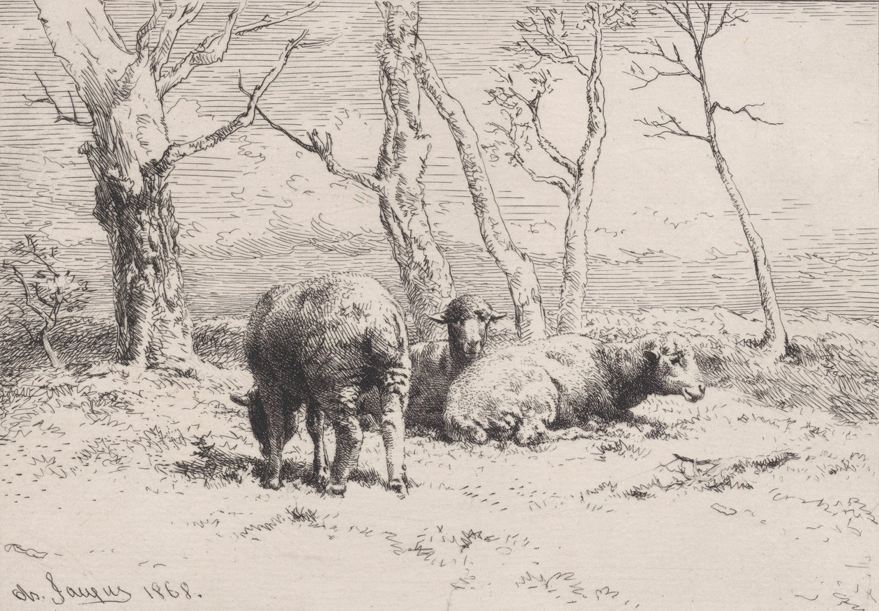 Juh, 1868. alkotó: Charles Emile Jacque