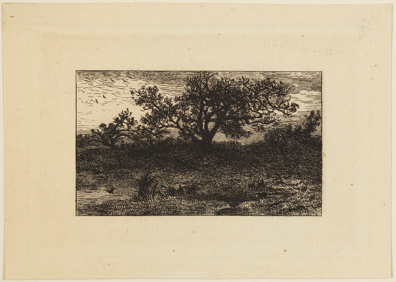 Nyomtatás alkotó: Charles Emile Jacque