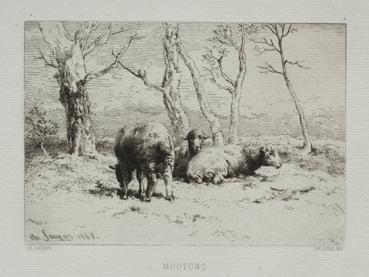 Juh, 1868. alkotó: Charles Emile Jacque