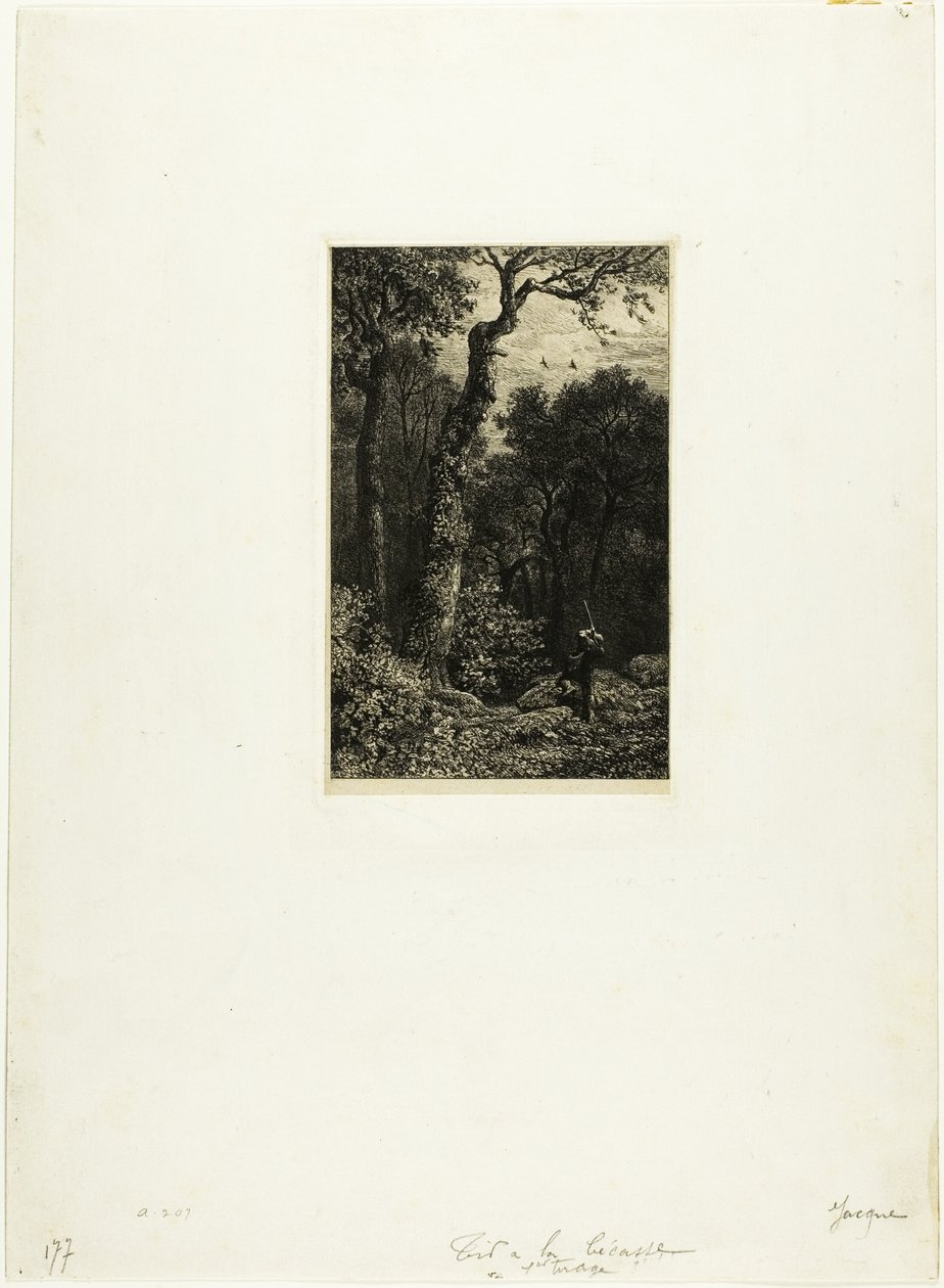 Lövés Woodcock alkotó: Charles Emile Jacque
