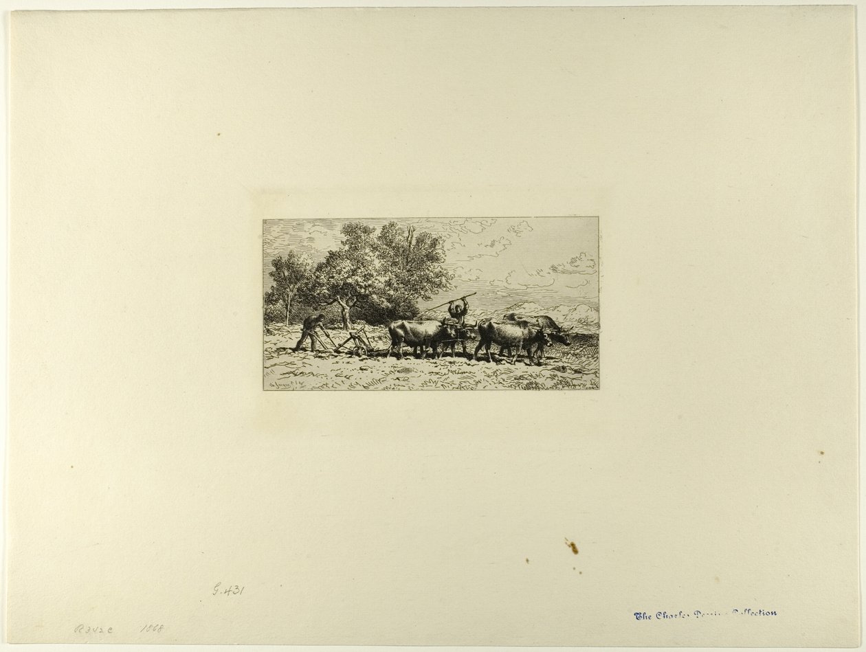 Ökörcsapat alkotó: Charles Emile Jacque