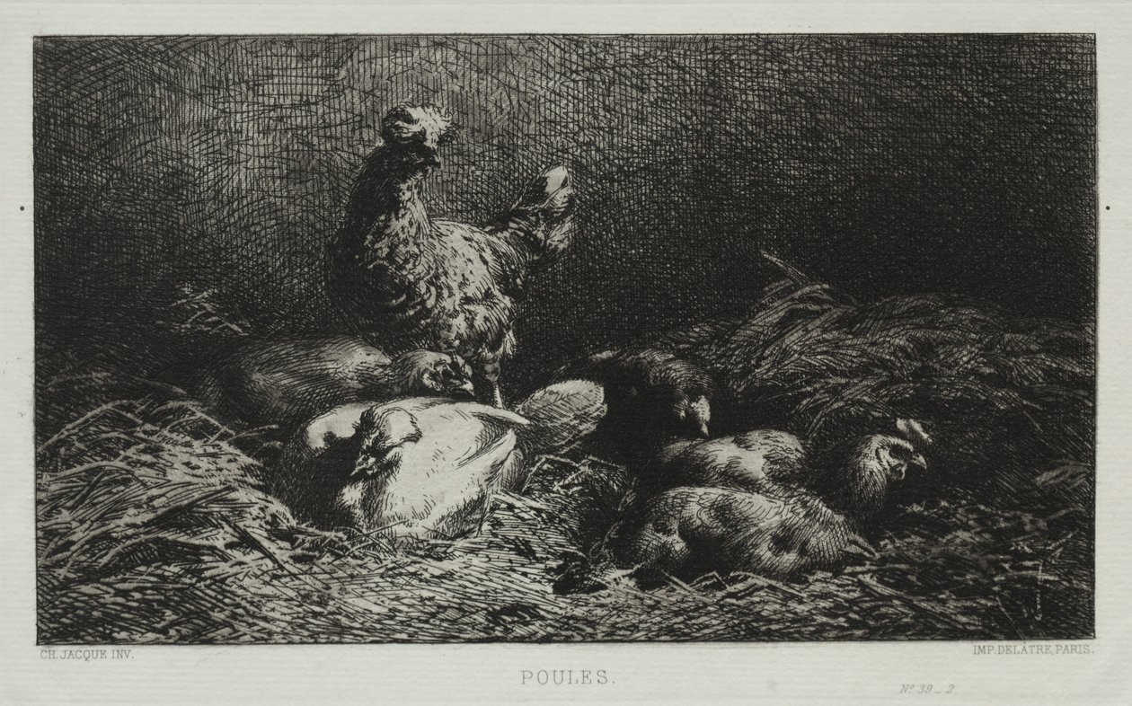 A csirkék. alkotó: Charles Emile Jacque