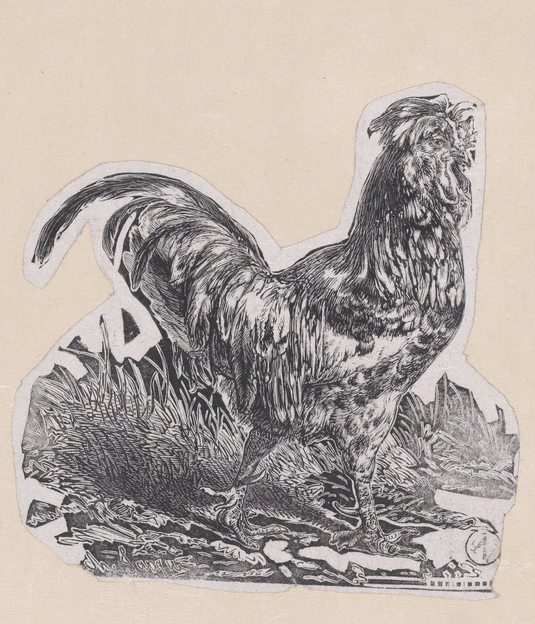 A kakas, kb. 1853. alkotó: Charles Emile Jacque