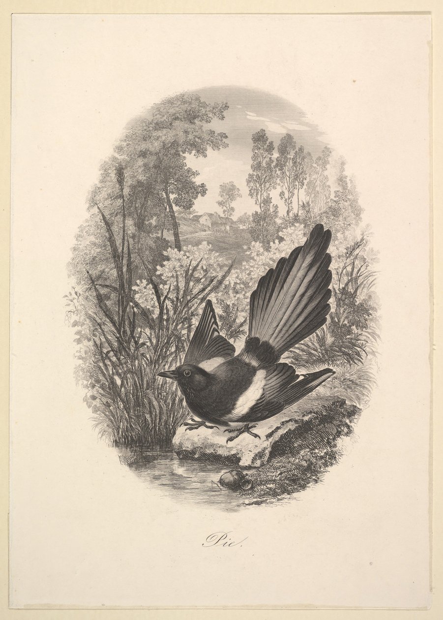 Szarka, 1843. alkotó: Charles Francois Daubigny
