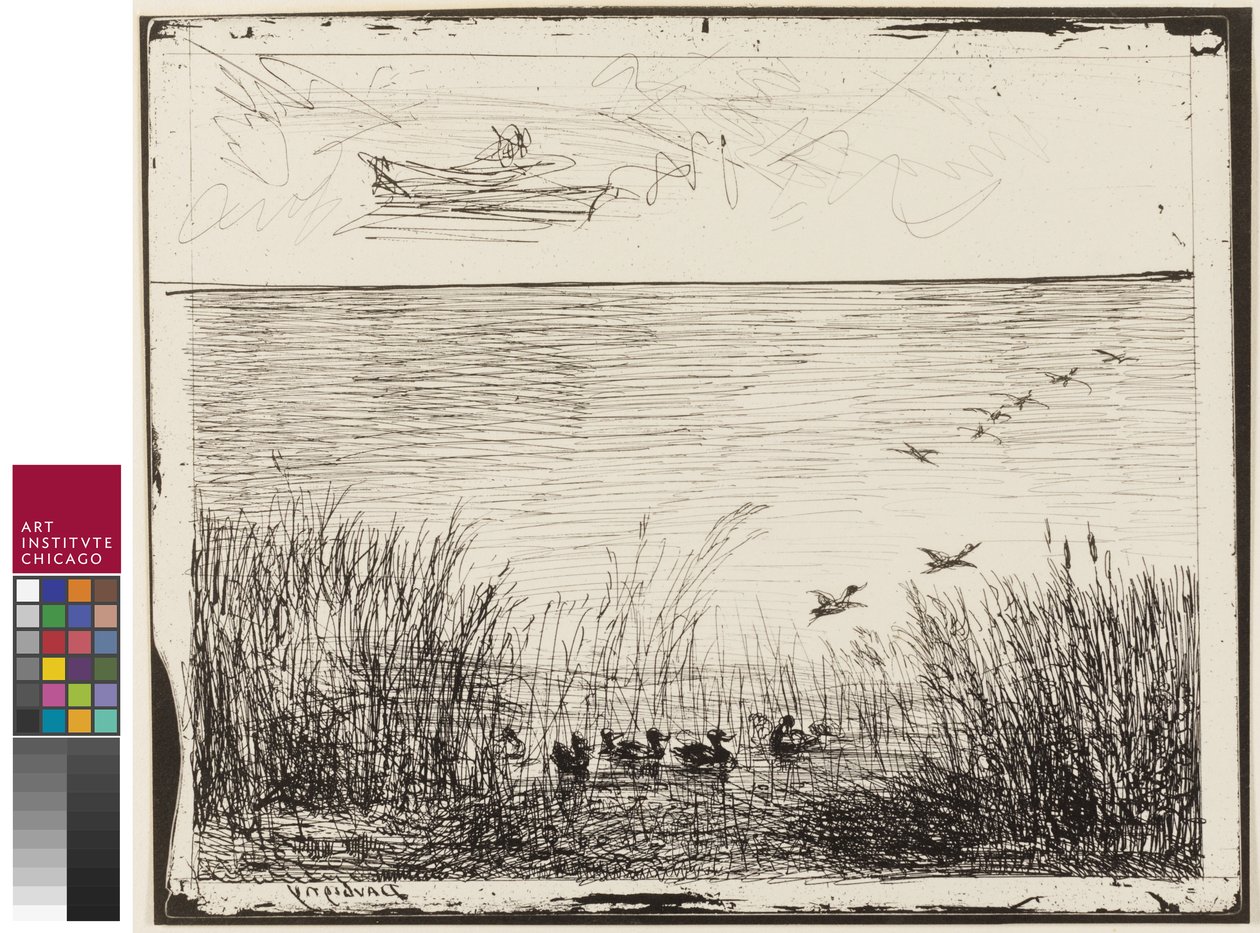 Mocsár kacsákkal, 1862 alkotó: Charles Francois Daubigny