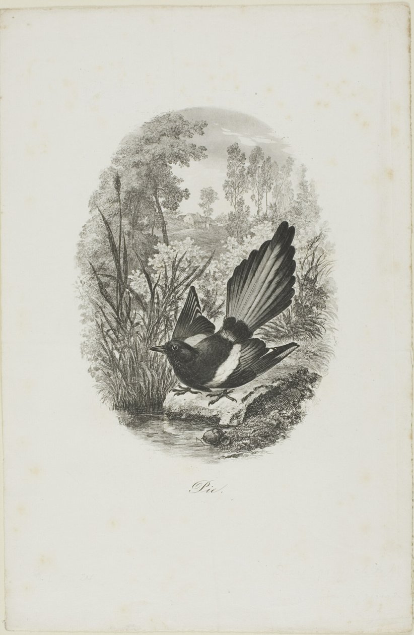 A szarka alkotó: Charles Francois Daubigny