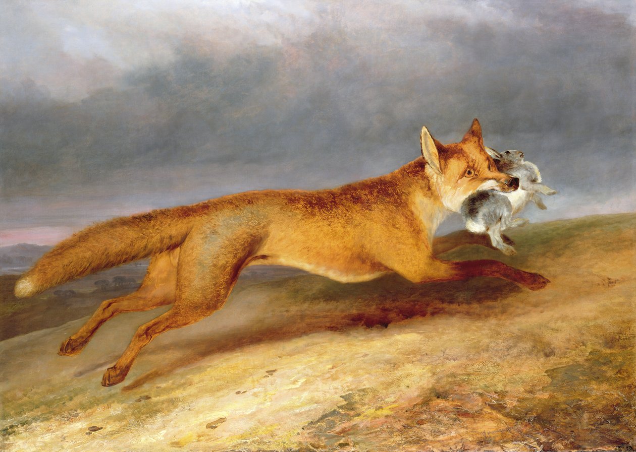 Fox indul egy nyúllal alkotó: Charles Hancock