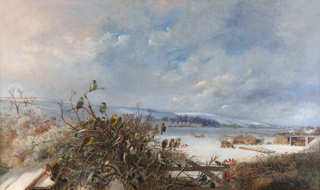 Egy toll madarai alkotó: Charles Henry Clifford Baldwyn