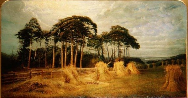 Búzaköteg az aratás után alkotó: Charles Henry Passey