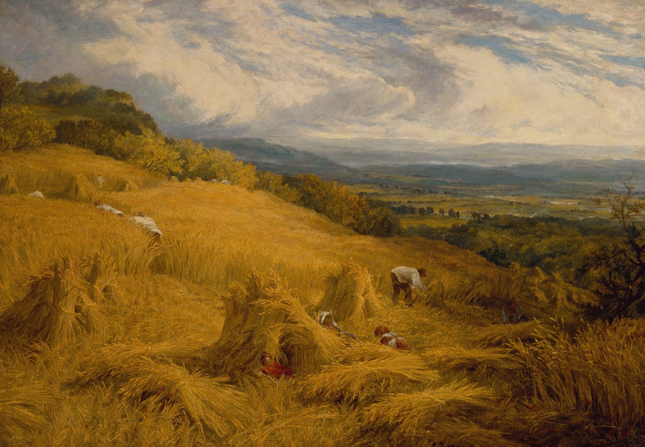 The Harvest (olaj, vászon) alkotó: Charles Henry Passey