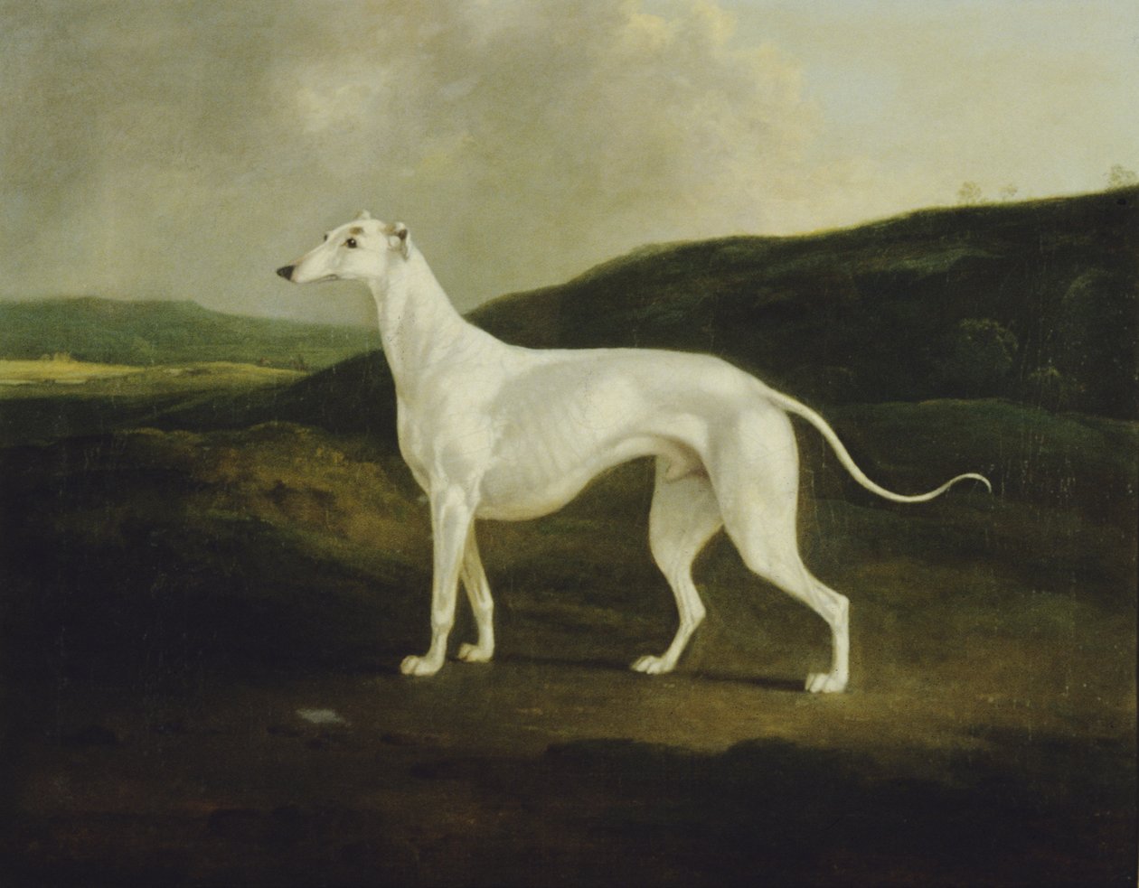 Agár a tájban alkotó: Charles Henry Schwanfelder
