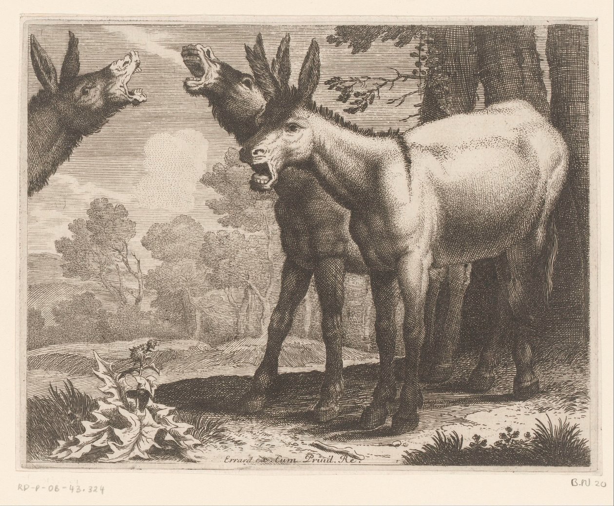 vicsorgó szamarak Állatsorozat (sorozat címe) alkotó: Charles II Errard (attributed to)
