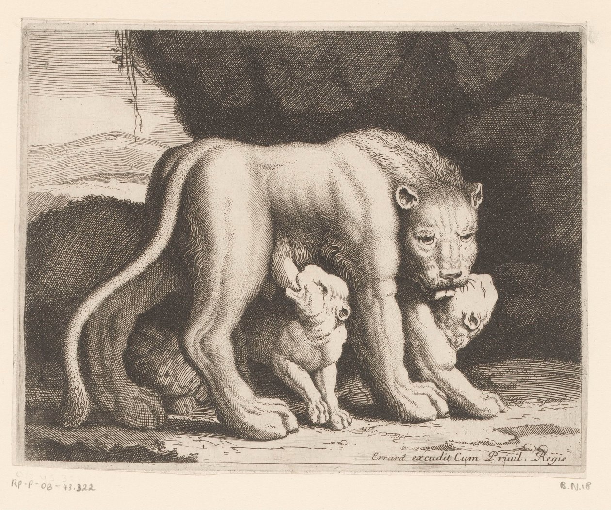 szoptató oroszlán Állatsorozat (sorozat címe) alkotó: Charles II Errard (attributed to)