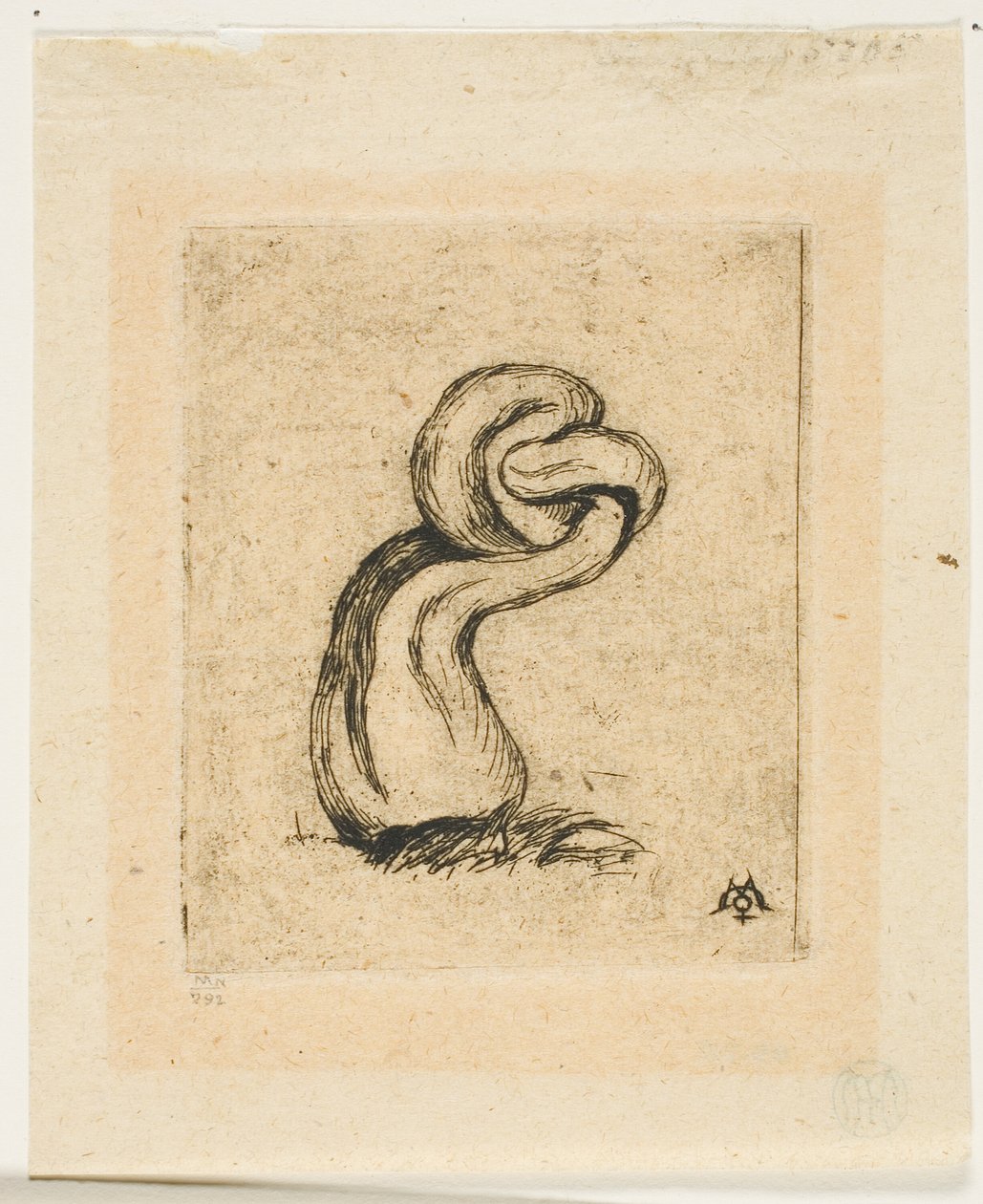 The Sickly Cryptogam alkotó: Charles Meryon