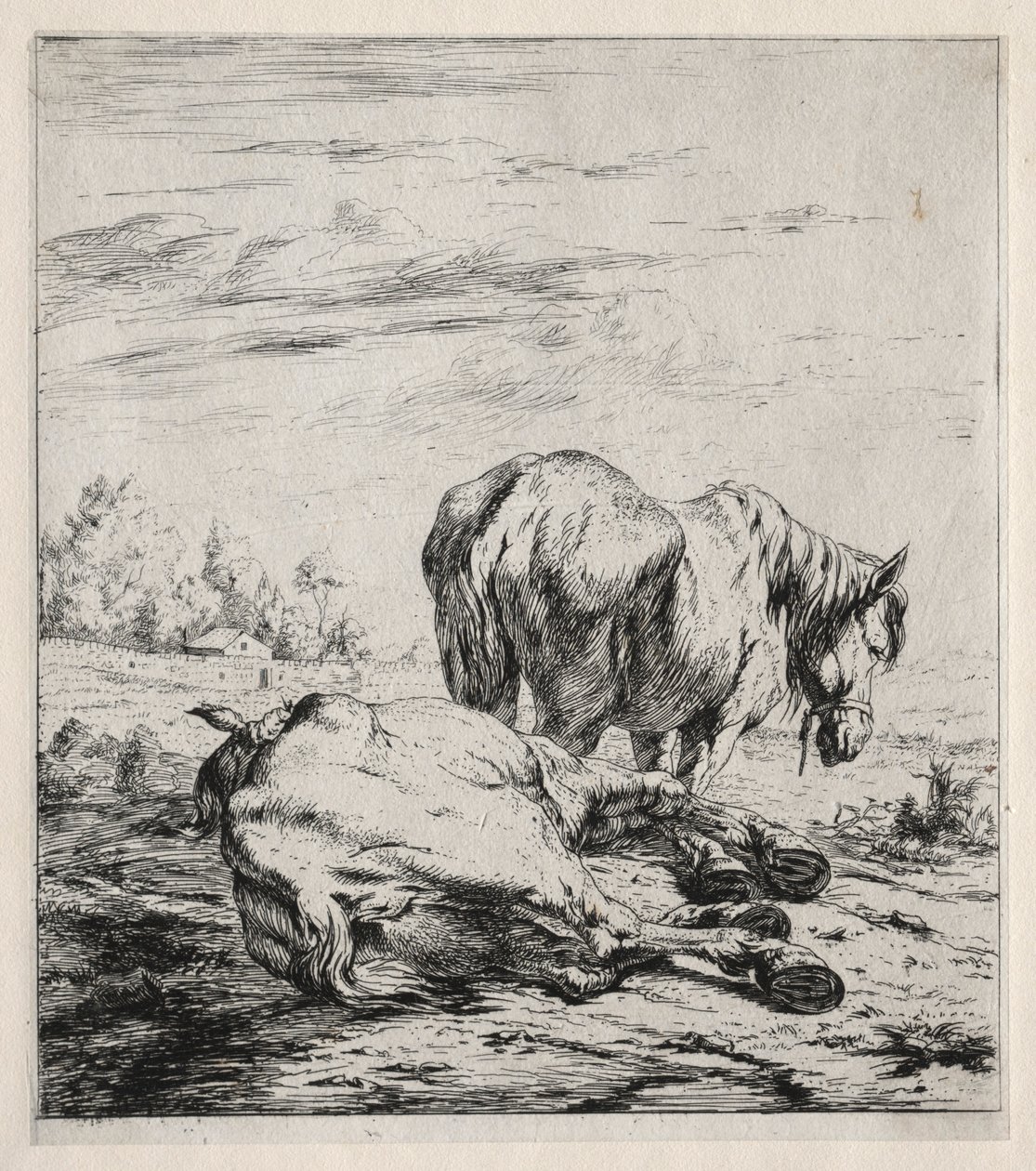 A két ló, 1850. alkotó: Charles Meryon