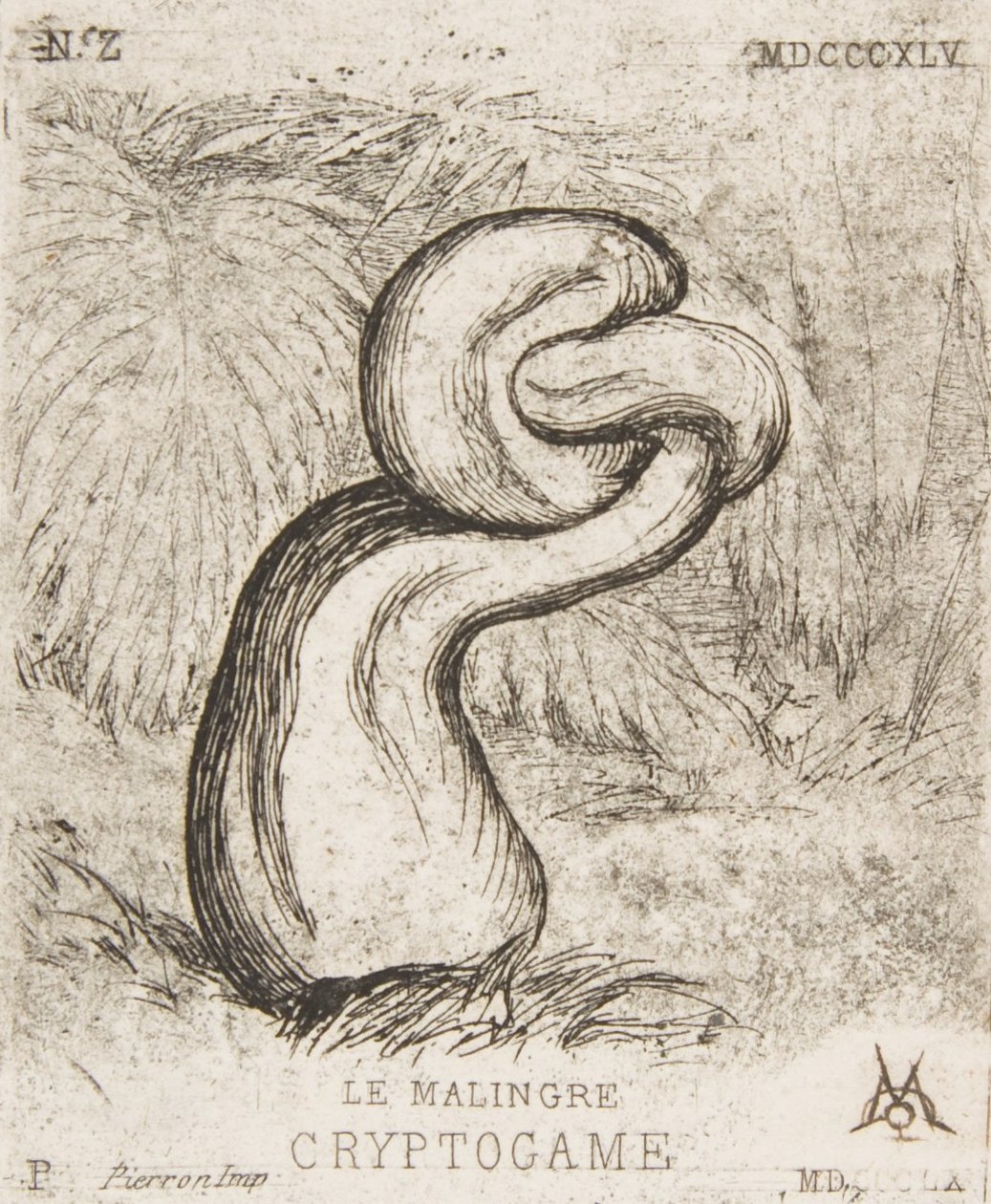 A csekély Cryptogamia, 1860. alkotó: Charles Meryon
