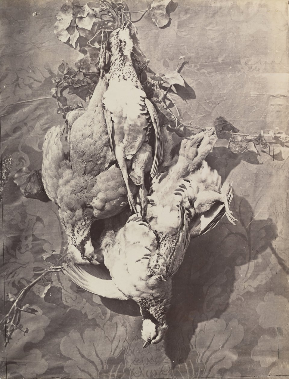 [Csendélet vadmadarakkal], 1859. alkotó: Charles Nègre