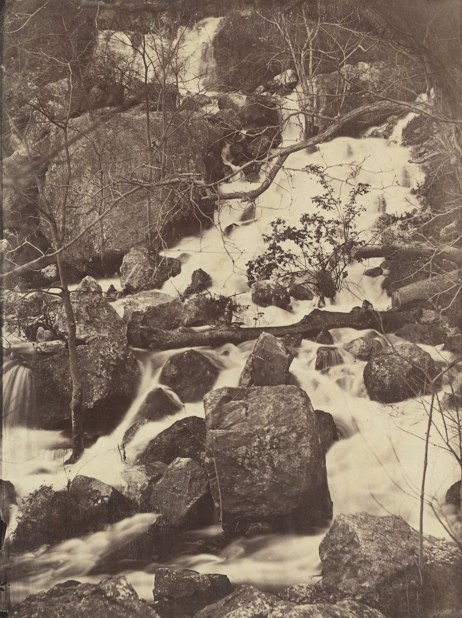 [Fák és vízesések], 1860-65. alkotó: Charles Nègre