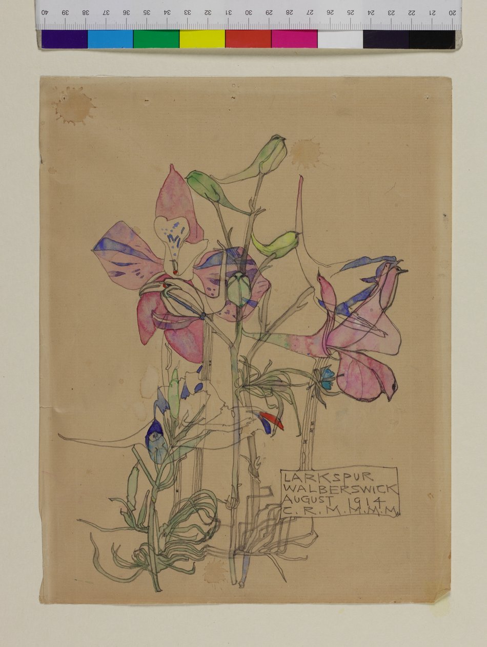 Larkspur, 1914 alkotó: Charles Rennie Mackintosh