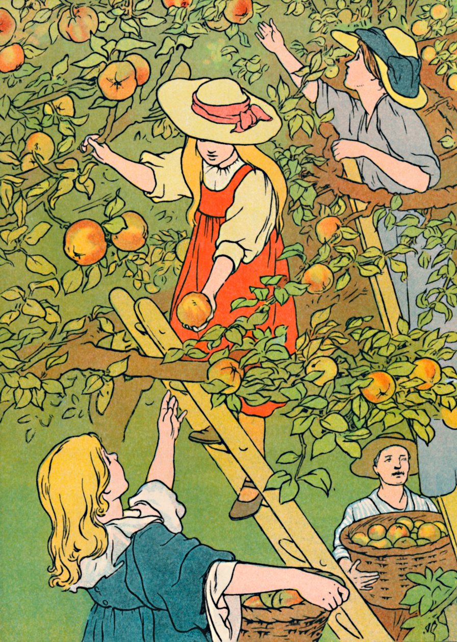 Gyümölcsszedés, 1912 alkotó: Charles Robinson