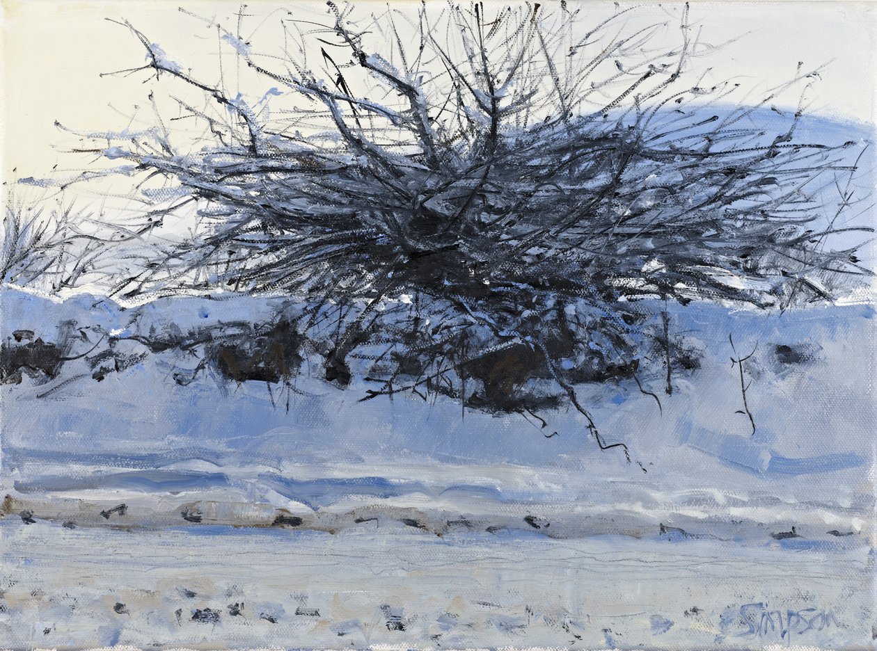 Galagonya, 2011 (olaj, vászon) alkotó: Charles Simpson