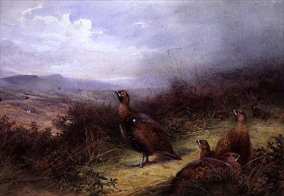Grouse a Felvidéken alkotó: Charles Whymper