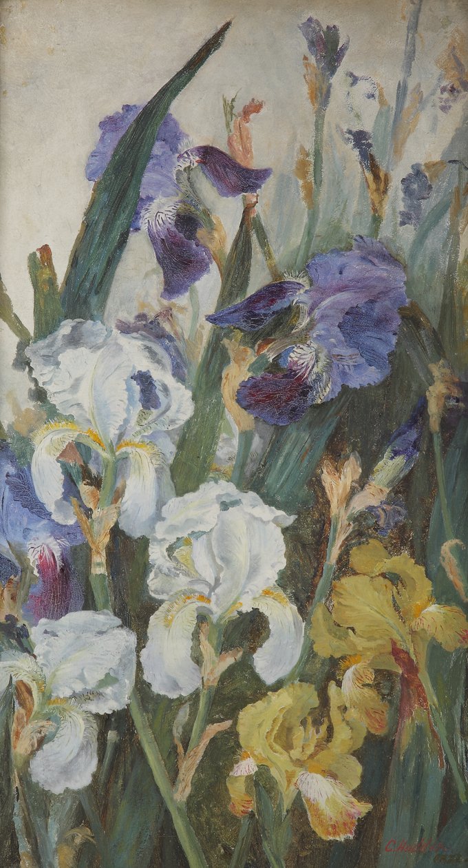 Íriszek, 1882 alkotó: Charlotte Hodder