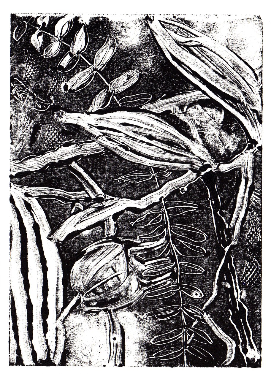 Inky Plants, 2019 (monoprint) alkotó: Charlotte Orr