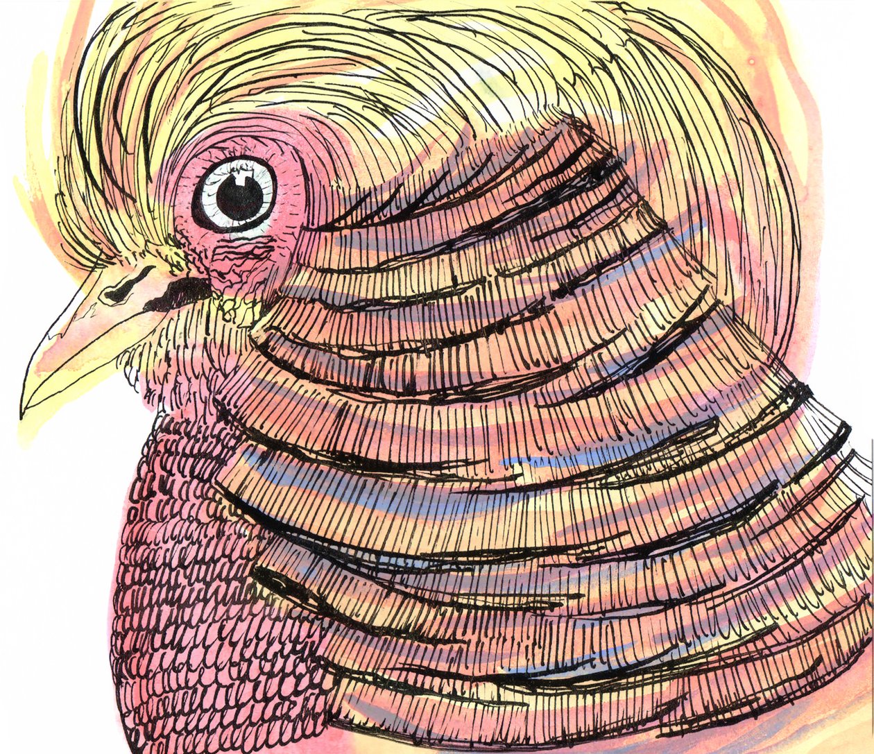 Tropical Bird, 2018 (toll, tus és akvarell) alkotó: Charlotte Orr